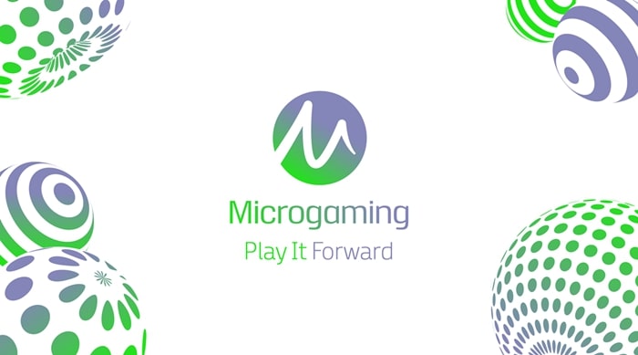 เกี่ยวกับ MicroGaming